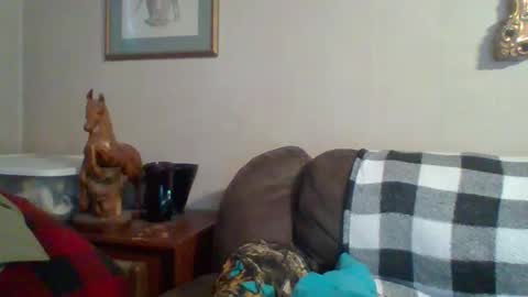 Vols online show from October 2025 09:49:01 PM