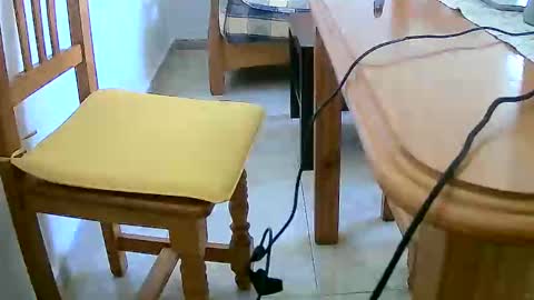 Tobiko online show from December 2024 12:25:02 PM