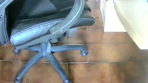 Tobiko online show from January 2025 04:18:02 PM