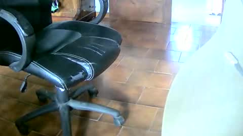 Tobiko online show from December 2025 02:24:02 PM