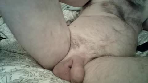 toddbells online show from February 2026 03:19:01 PM