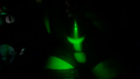 toni256115 online show from April 2026 10:14:02 AM