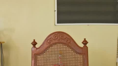 Antonio online show from October 2025 02:48:01 PM