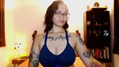 toothyy online show from February 2025 12:51:01 AM