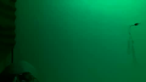 MisterXxX online show from November 2025 03:17:01 AM