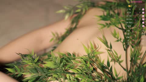 Toshi online show from January 2025 01:00:02 PM