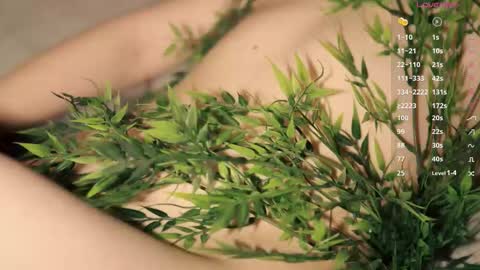 Toshi online show from December 2025 01:06:01 PM