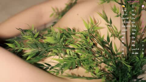 Toshi online show from January 2026 01:04:01 PM