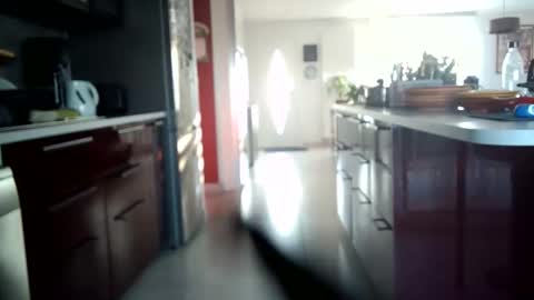 toutim6163 online show from September 2025 07:02:01 AM