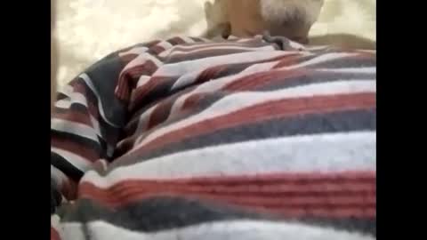 tra649167 online show from February 2025 08:02:02 PM