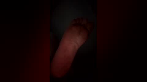 traek223 online show from January 2026 09:03:02 AM