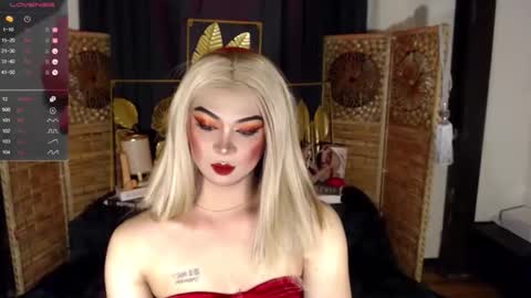 transsitips online show from April 2026 07:55:02 AM