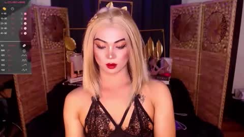transsitips online show from May 2026 03:28:02 PM