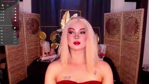 transsitips online show from May 2026 01:06:02 PM