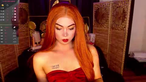 transsitips online show from May 2026 07:05:01 AM