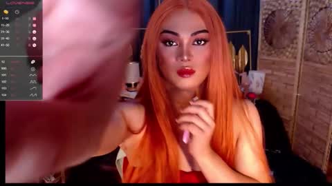 transsitips online show from May 2026 12:55:02 PM