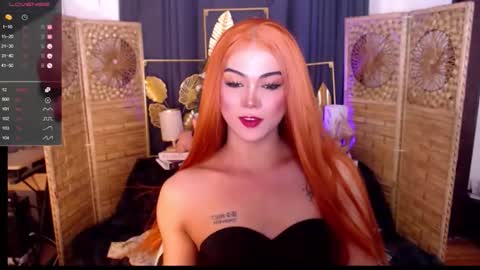 transsitips online show from May 2026 04:41:02 AM