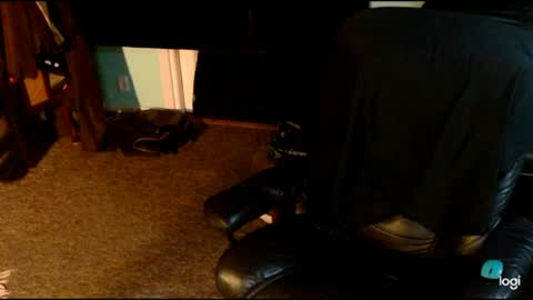 transwinnietv online show from June 2026 09:27:01 PM
