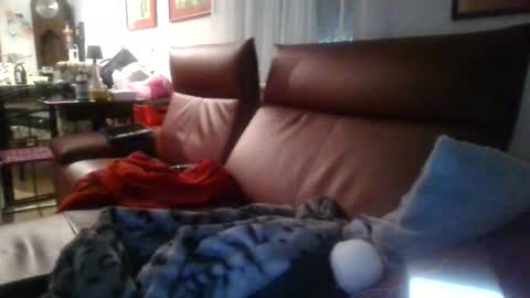 trebgeis1 online show from April 2026 03:39:01 AM