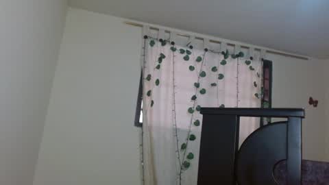 Snapshot of trebol_4 chatting on July 2026 06:54:01 PM trebol_4 online show from July 2026 06:54:01 PM