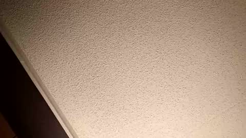 treedude303720 online show from October 2025 10:54:02 PM