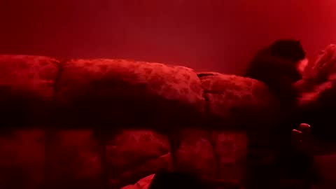 tretrix5588 online show from January 2025 10:09:02 AM