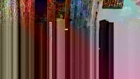 trillnonymau5 online show from December 2024 11:44:01 AM