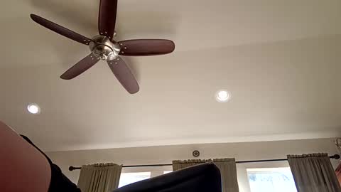 trillnonymau5 online show from December 2024 06:34:01 PM