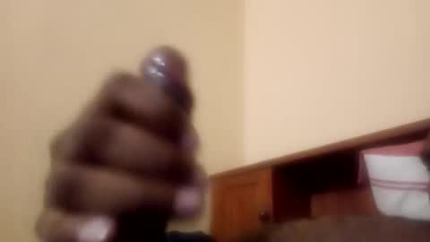 Antique-Shirt2516 online show from September 2025 02:44:02 AM