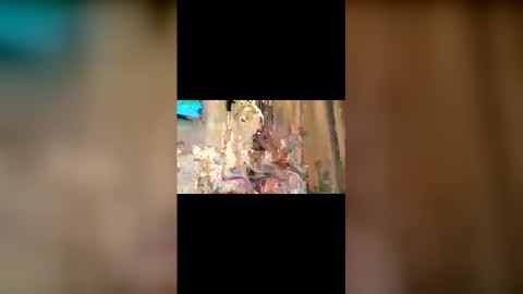 Trishia00 online show from December 2025 11:19:01 AM