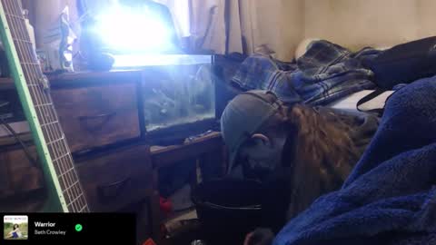 trooper0690 online show from February 2026 06:14:01 PM