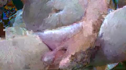 Snapshot of troy1965 chatting on January 2025 04:47:01 AM troy1965 online show from January 2025 04:47:01 AM