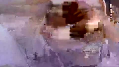 troy1965 online show from April 2026 05:27:02 AM