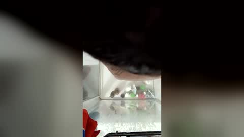 troyacowen1982 online show from July 2026 07:56:02 AM