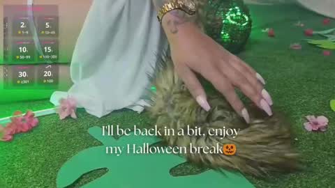   online show from October 2025 11:45:02 AM