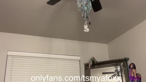 tsfoxx online show from December 2024 12:34:01 PM