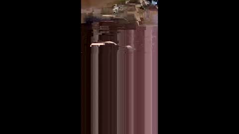 tshull0009 online show from April 2026 06:05:01 PM