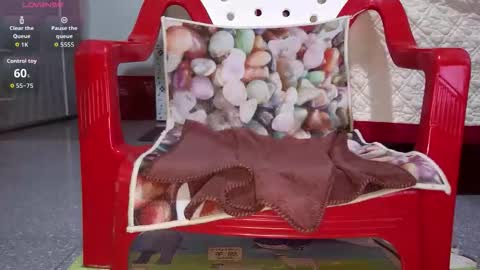 tulip_sexxy online show from September 2025 12:03:02 AM