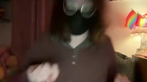 Tulip online show from February 2026 05:02:01 AM