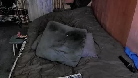 Snapshot of tviks chatting on March 2025 10:30:02 AM Lana online show from March 2025 10:30:02 AM