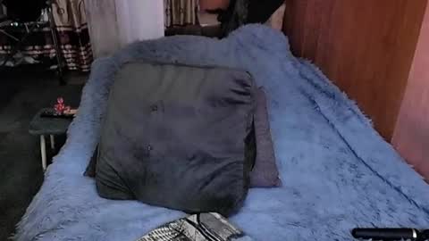 Snapshot of tviks chatting on March 2025 08:29:01 AM Lana online show from March 2025 08:29:01 AM