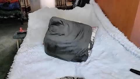 Snapshot of tviks chatting on March 2025 01:37:01 AM Lana online show from March 2025 01:37:01 AM