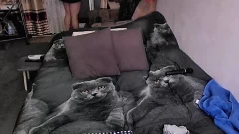 Snapshot of tviks chatting on October 2025 09:35:02 PM Lana online show from October 2025 09:35:02 PM