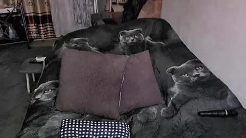 Snapshot of tviks chatting on October 2025 11:35:02 PM Lana online show from October 2025 11:35:02 PM