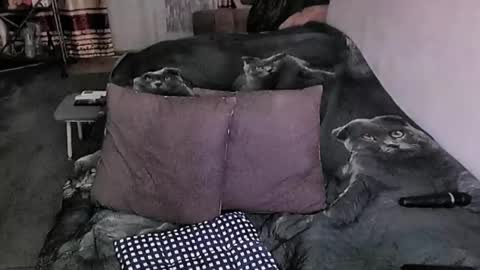 Lana online show from March 2026 06:45:02 PM