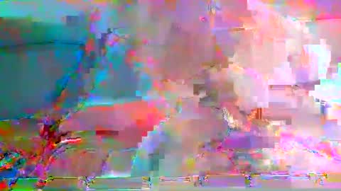 twayne29x online show from December 2024 09:17:02 AM