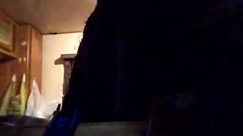 Snapshot of twiztidleeanna69 chatting on February 2025 12:05:02 PM Tintilizing Excitement online show from February 2025 12:05:02 PM