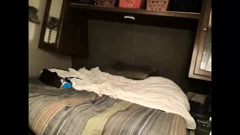 txspeedoboy1986 online show from September 2025 03:06:02 AM