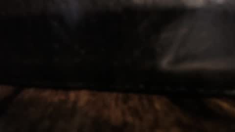 uncutcook online show from January 2025 10:09:01 PM