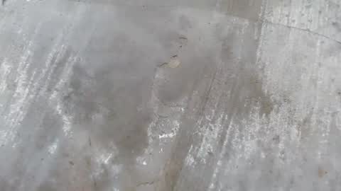 urdreamboy_clarin online show from April 2026 12:44:02 PM